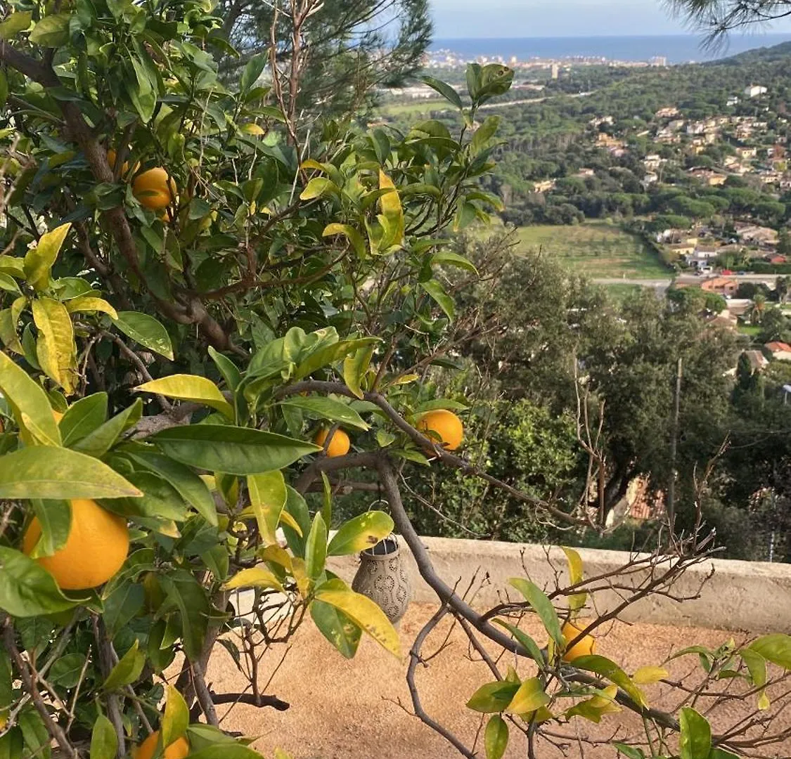Willa Casa Buenaventura Calonge  0*, Calonge (Catalonia)